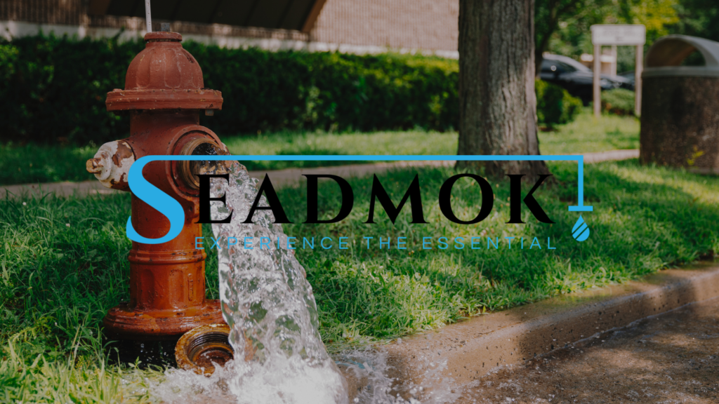 Red Fire Hydrant needing Repair and Seadmok Logo