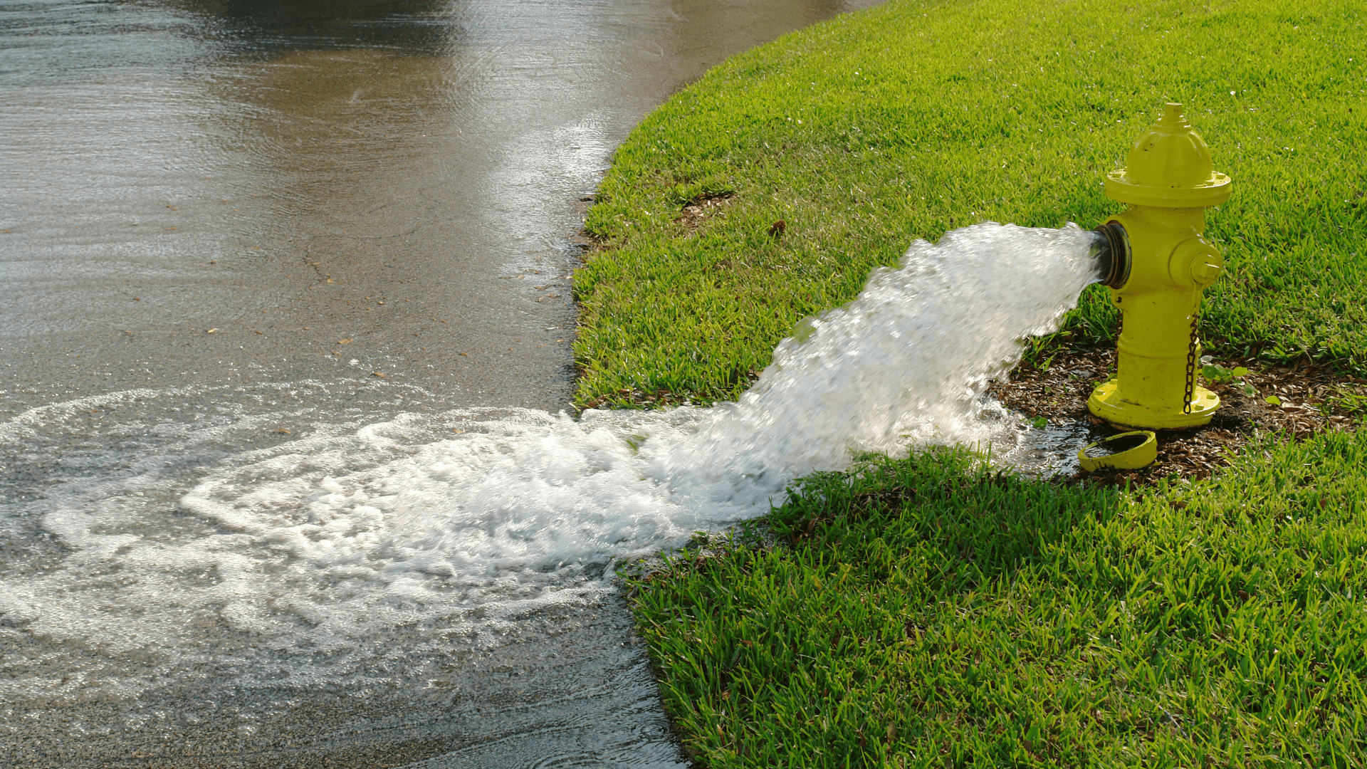 Yellow Fire Hydrant Spilling into the Road