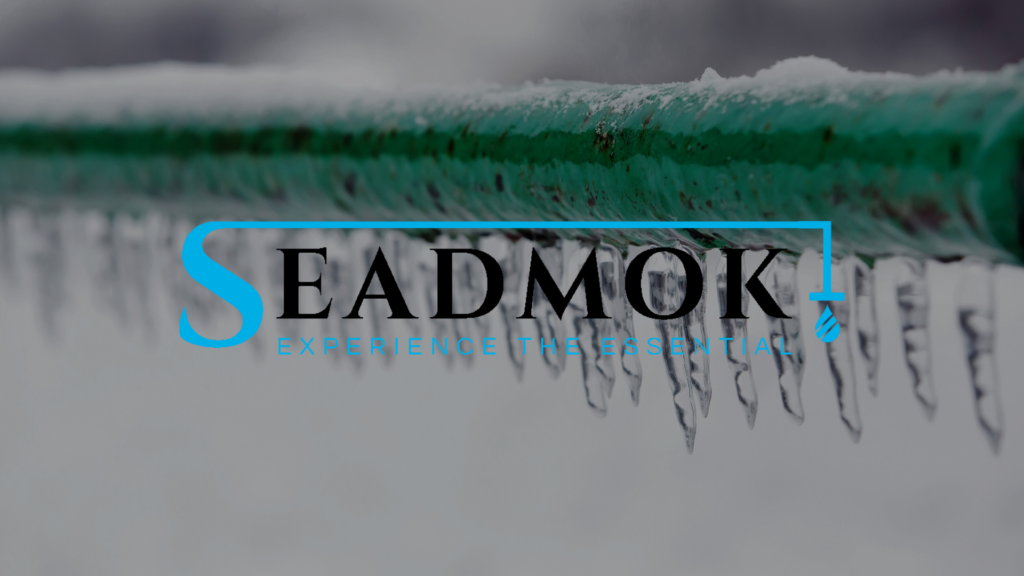 Frozen Pipes and Seadmok Logo