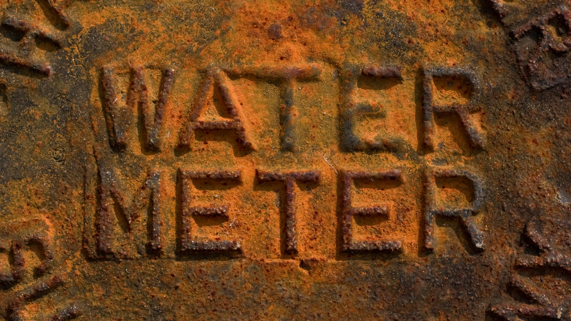 Water Meter Cap