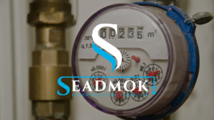 Water Meter and Seadmok Logo