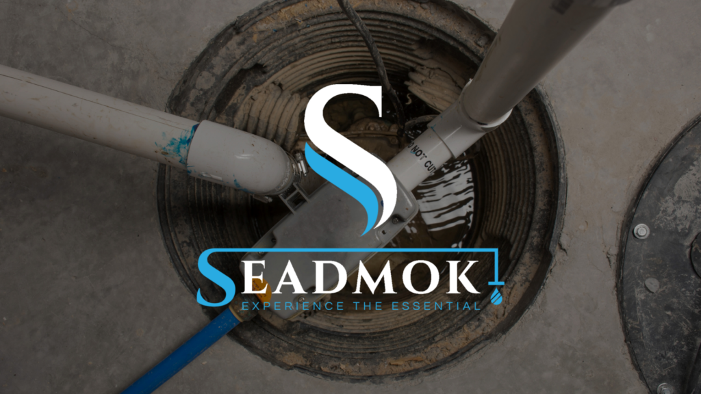 Seadmok Logo and Sewer Backup